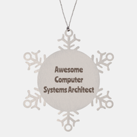Load image into Gallery viewer, Computer Systems Architect Gift Stainless Steel Snowflake Ornament Christmas Gift Awesome – front view
