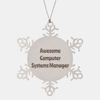 Load image into Gallery viewer, Computer Systems Manager Gift Stainless Steel Snowflake Ornament Christmas Gift Awesome – front view
