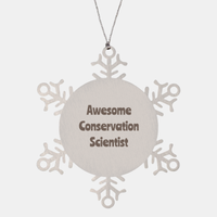 Load image into Gallery viewer, Conservation Scientist Gift Stainless Steel Snowflake Ornament Christmas Gift Awesome – front view
