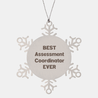 Load image into Gallery viewer, Best Assessment Coordinator Ever Ornament Gift Stainless Steel Snowflake Ornament Christmas – front view
