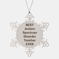Load image into Gallery viewer, Best Autism Spectrum Disorder Teacher Ever Ornament Gift Stainless Steel Snowflake Ornament Christmas – front view

