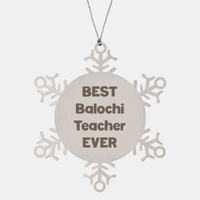 Load image into Gallery viewer, Best Balochi Teacher Ever Ornament Gift Stainless Steel Snowflake Ornament Christmas – front view

