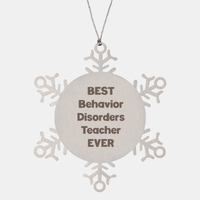 Load image into Gallery viewer, Best Behavior Disorders Teacher Ever Ornament Gift Stainless Steel Snowflake Ornament Christmas – front view
