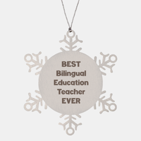 Load image into Gallery viewer, Best Bilingual Education Teacher Ever Ornament Gift Stainless Steel Snowflake Ornament Christmas – front view
