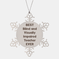 Load image into Gallery viewer, Best Blind and Visually Impaired Teacher Ever Ornament Gift Stainless Steel Snowflake Ornament Christmas – front view
