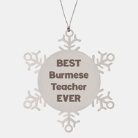 Load image into Gallery viewer, Best Burmese Teacher Ever Ornament Gift Stainless Steel Snowflake Ornament Christmas – front view
