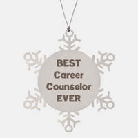 Load image into Gallery viewer, Best Career Counselor Ever Ornament Gift Stainless Steel Snowflake Ornament Christmas – front view
