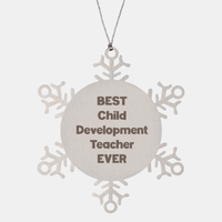 Load image into Gallery viewer, Best Child Development Teacher Ever Ornament Gift Stainless Steel Snowflake Ornament Christmas – front view
