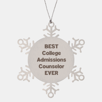 Load image into Gallery viewer, Best College Admissions Counselor Ever Ornament Gift Stainless Steel Snowflake Ornament Christmas – front view
