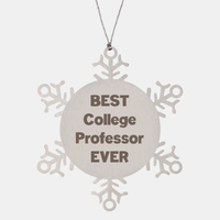 Load image into Gallery viewer, Best College Professor Ever Ornament Gift Stainless Steel Snowflake Ornament Christmas – front view
