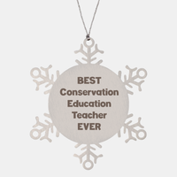Load image into Gallery viewer, Best Conservation Education Teacher Ever Ornament Gift Stainless Steel Snowflake Ornament Christmas – front view
