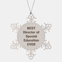 Load image into Gallery viewer, Best Director of Special Education Ever Ornament Gift Stainless Steel Snowflake Ornament Christmas – front view
