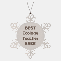 Load image into Gallery viewer, Best Ecology Teacher Ever Ornament Gift Stainless Steel Snowflake Ornament Christmas – front view
