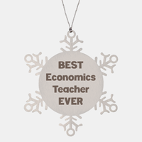 Load image into Gallery viewer, Best Economics Teacher Ever Ornament Gift Stainless Steel Snowflake Ornament Christmas – front view
