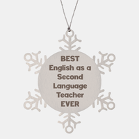 Load image into Gallery viewer, Best English as a Second Language Teacher Ever Ornament Gift Stainless Steel Snowflake Ornament Christmas – front view
