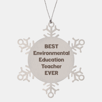 Load image into Gallery viewer, Best Environmental Education Teacher Ever Ornament Gift Stainless Steel Snowflake Ornament Christmas – front view
