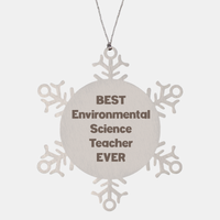 Load image into Gallery viewer, Best Environmental Science Teacher Ever Ornament Gift Stainless Steel Snowflake Ornament Christmas – front view
