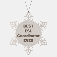 Load image into Gallery viewer, Best ESL Coordinator Ever Ornament Gift Stainless Steel Snowflake Ornament Christmas – front view
