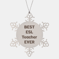 Load image into Gallery viewer, Best ESL Teacher Ever Ornament Gift Stainless Steel Snowflake Ornament Christmas – front view
