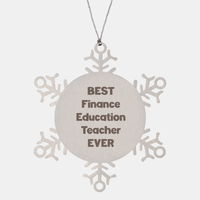 Load image into Gallery viewer, Best Finance Education Teacher Ever Ornament Gift Stainless Steel Snowflake Ornament Christmas – front view

