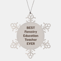 Load image into Gallery viewer, Best Forestry Education Teacher Ever Ornament Gift Stainless Steel Snowflake Ornament Christmas – front view
