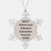 Load image into Gallery viewer, Best Gifted and Talented Education Teacher Ever Ornament Gift Stainless Steel Snowflake Ornament Christmas – front view
