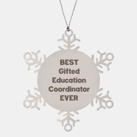 Load image into Gallery viewer, Best Gifted Education Coordinator Ever Ornament Gift Stainless Steel Snowflake Ornament Christmas – front view
