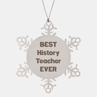 Load image into Gallery viewer, Best History Teacher Ever Ornament Gift Stainless Steel Snowflake Ornament Christmas – front view
