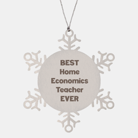 Load image into Gallery viewer, Best Home Economics Teacher Ever Ornament Gift Stainless Steel Snowflake Ornament Christmas – front view
