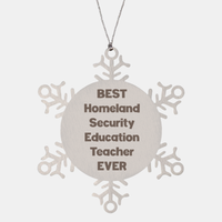 Load image into Gallery viewer, Best Homeland Security Education Teacher Ever Ornament Gift Stainless Steel Snowflake Ornament Christmas – front view
