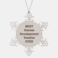 Load image into Gallery viewer, Best Human Development Teacher Ever Ornament Gift Stainless Steel Snowflake Ornament Christmas – front view
