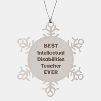 Load image into Gallery viewer, Best Intellectual Disabilities Teacher Ever Ornament Gift Stainless Steel Snowflake Ornament Christmas – front view
