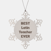 Load image into Gallery viewer, Best Latin Teacher Ever Ornament Gift Stainless Steel Snowflake Ornament Christmas – front view
