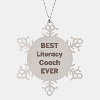Load image into Gallery viewer, Best Literacy Coach Ever Ornament Gift Stainless Steel Snowflake Ornament Christmas – front view
