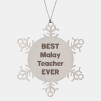 Load image into Gallery viewer, Best Malay Teacher Ever Ornament Gift Stainless Steel Snowflake Ornament Christmas – front view

