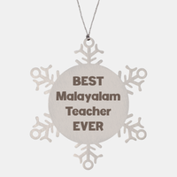 Load image into Gallery viewer, Best Malayalam Teacher Ever Ornament Gift Stainless Steel Snowflake Ornament Christmas – front view

