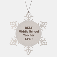 Load image into Gallery viewer, Best Middle School Teacher Ever Ornament Gift Stainless Steel Snowflake Ornament Christmas – front view
