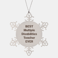 Load image into Gallery viewer, Best Multiple Disabilities Teacher Ever Ornament Gift Stainless Steel Snowflake Ornament Christmas – front view
