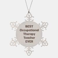 Load image into Gallery viewer, Best Occupational Therapy Teacher Ever Ornament Gift Stainless Steel Snowflake Ornament Christmas – front view
