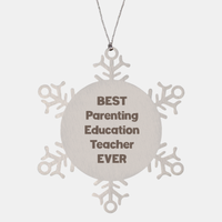 Load image into Gallery viewer, Best Parenting Education Teacher Ever Ornament Gift Stainless Steel Snowflake Ornament Christmas – front view
