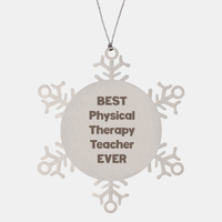 Load image into Gallery viewer, Best Physical Therapy Teacher Ever Ornament Gift Stainless Steel Snowflake Ornament Christmas – front view
