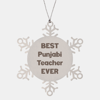 Load image into Gallery viewer, Best Punjabi Teacher Ever Ornament Gift Stainless Steel Snowflake Ornament Christmas – front view
