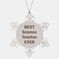 Load image into Gallery viewer, Best Science Teacher Ever Ornament Gift Stainless Steel Snowflake Ornament Christmas – front view
