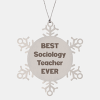Load image into Gallery viewer, Best Sociology Teacher Ever Ornament Gift Stainless Steel Snowflake Ornament Christmas – front view
