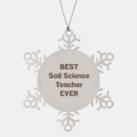 Load image into Gallery viewer, Best Soil Science Teacher Ever Ornament Gift Stainless Steel Snowflake Ornament Christmas – front view
