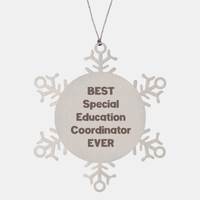 Load image into Gallery viewer, Best Special Education Coordinator Ever Ornament Gift Stainless Steel Snowflake Ornament Christmas – front view
