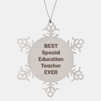 Load image into Gallery viewer, Best Special Education Teacher Ever Ornament Gift Stainless Steel Snowflake Ornament Christmas – front view
