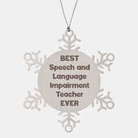 Load image into Gallery viewer, Best Speech and Language Impairment Teacher Ever Ornament Gift Stainless Steel Snowflake Ornament Christmas – front view
