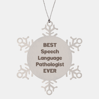 Load image into Gallery viewer, Best Speech Language Pathologist Ever Ornament Gift Stainless Steel Snowflake Ornament Christmas – front view
