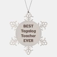 Load image into Gallery viewer, Best Tagalog Teacher Ever Ornament Gift Stainless Steel Snowflake Ornament Christmas – front view
